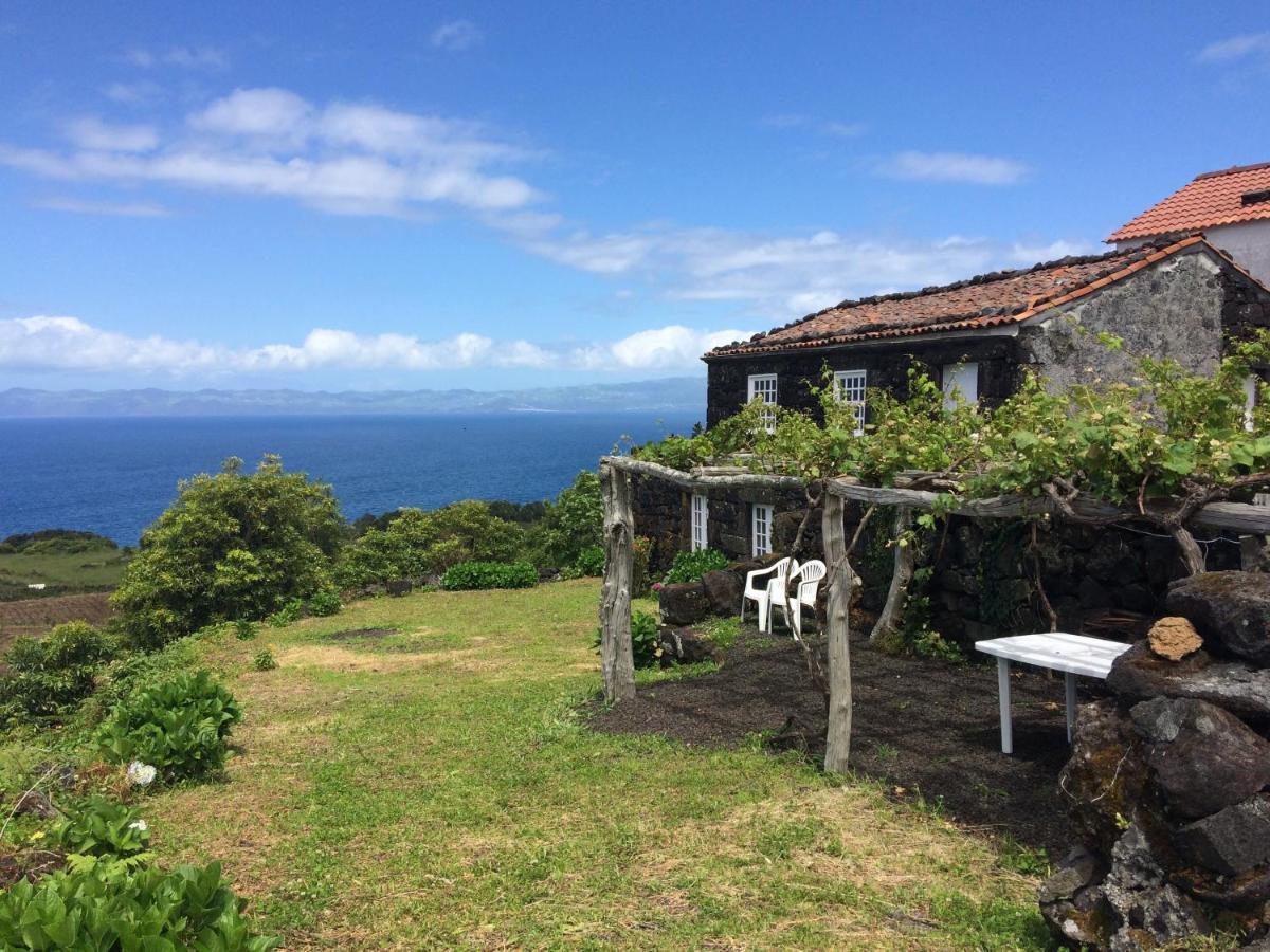 Casa Do Castanheiro Villa Santo Antonio  Bagian luar foto